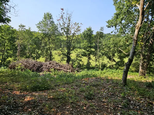 000 Mclean Road, Ozark, MO 65721