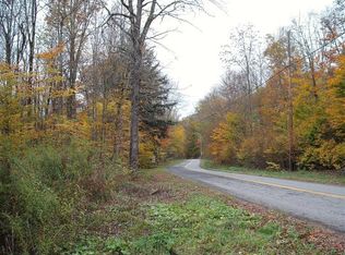 0 Bear Kill Rd, conesville, NY 12076