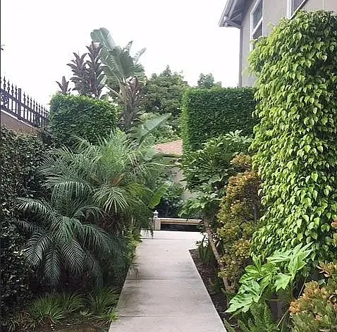 3825 Sawtelle Blvd — Photo 11