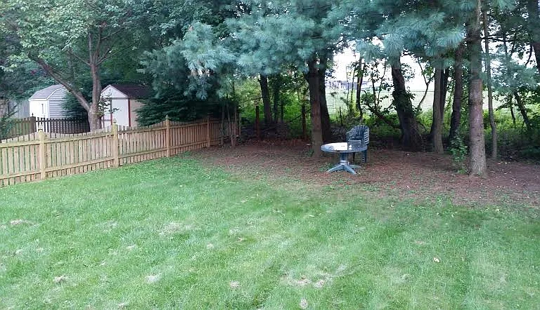 Backyard