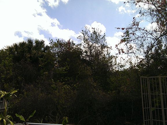 View East