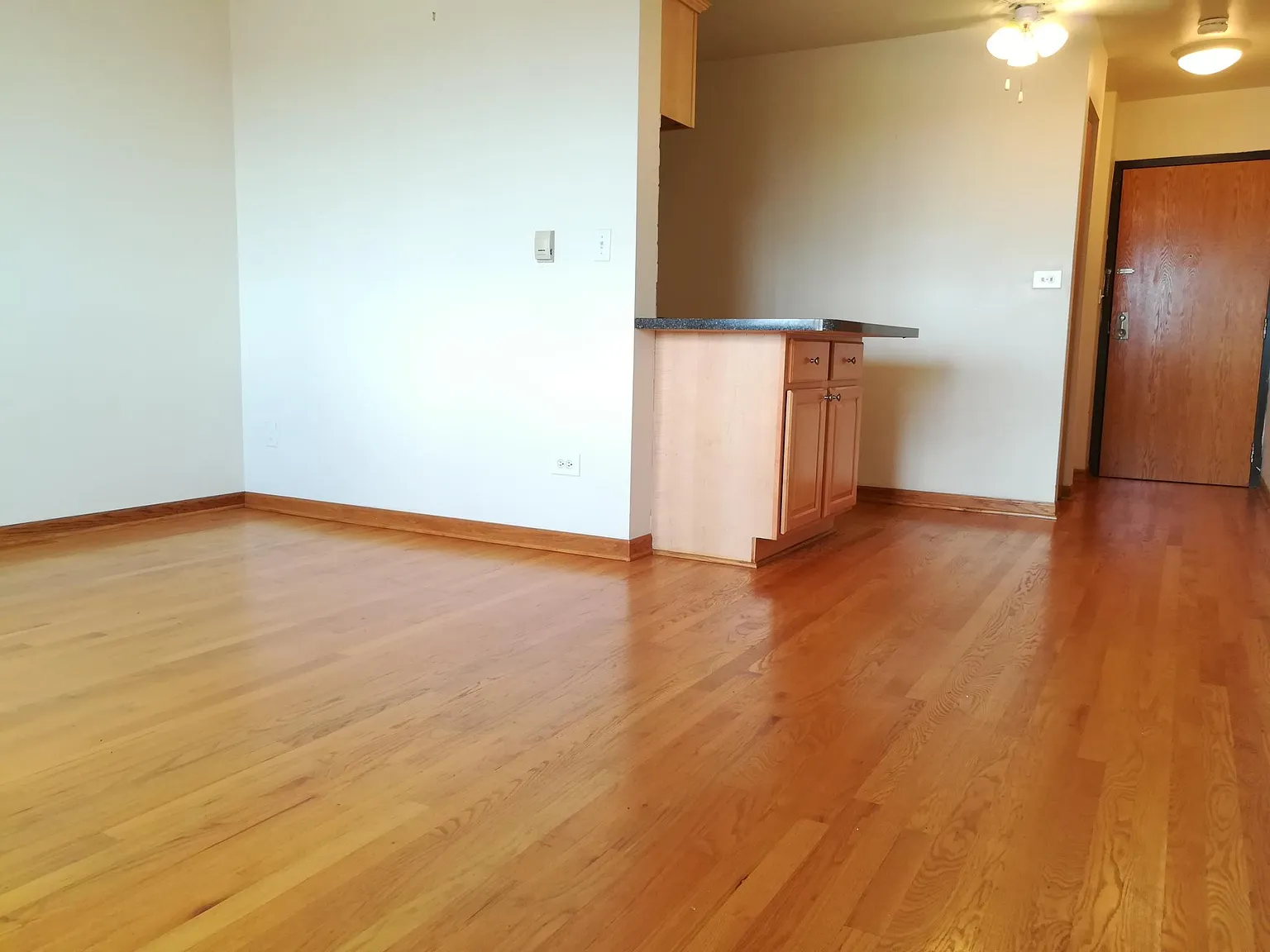 Studio, 650 sqft, $1,200 — Photo 3