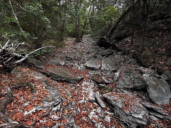 2nd image of 5780 Sand Rock Rd