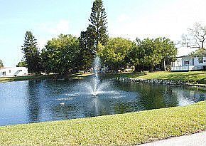 pond