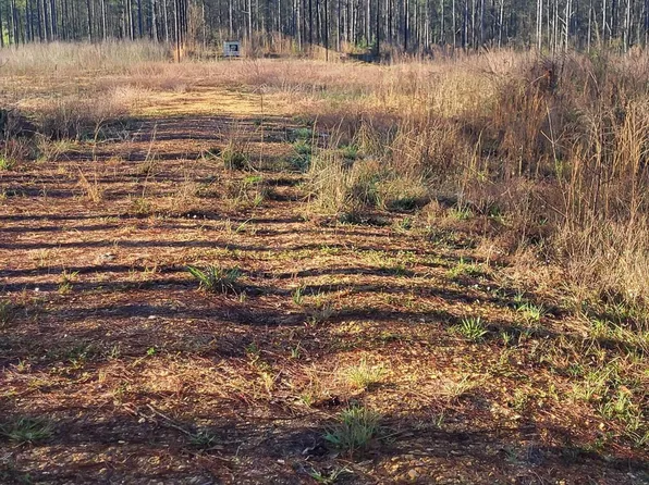 1575 Purvis To Baxterville Rd, Purvis, MS 39475