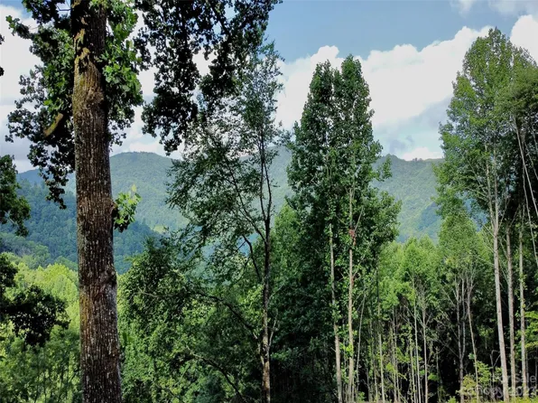 0 Short Ridge Ln, Clyde, NC 28721