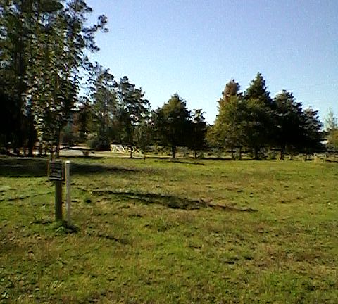 5th image of 324  Baywood