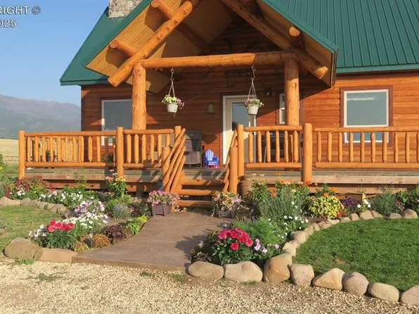 143 Jester Ct, Westcliffe, CO 81252