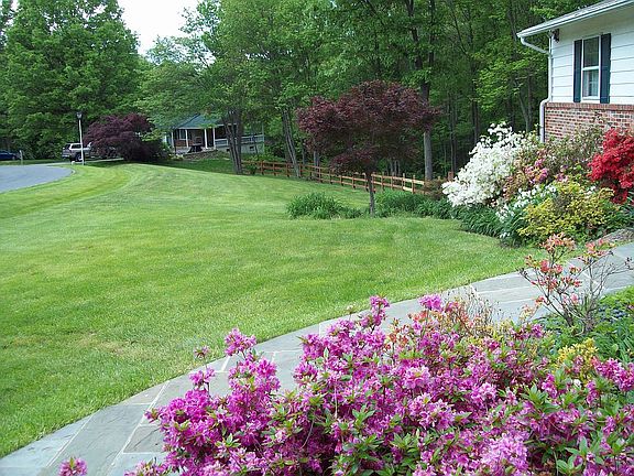 part of the front yard