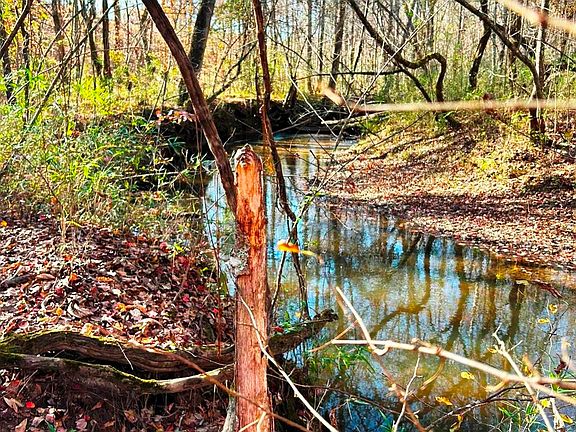 3rd image of Walker Rd