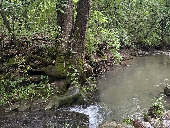 3rd image of 197 Blue Smith Rd