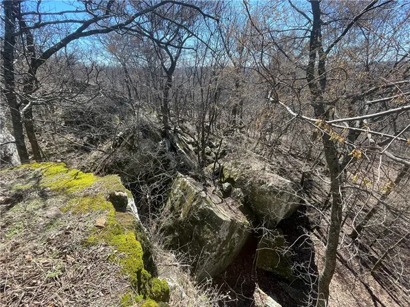 21675 North Rd, Summers, AR 72769