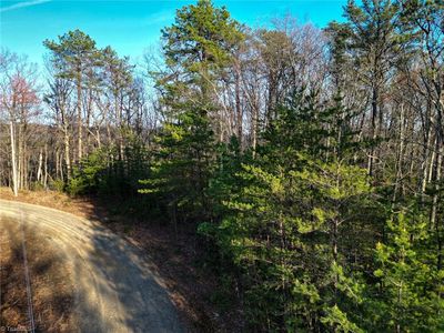 0 Gowings Knob Rd, Mc Grady, NC, 28649