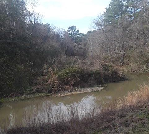 3rd image of Highway 51