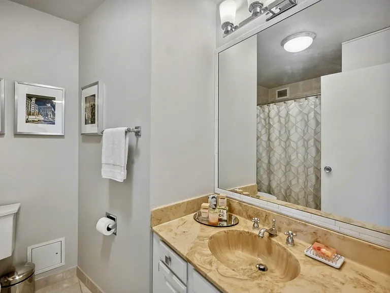 3930 N Pine Grove Ave #510 — Photo 11