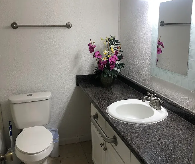 Guest bathroom.