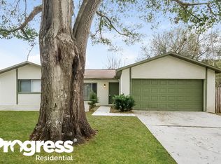 303 Silverhill Dr, Valrico, FL 33594