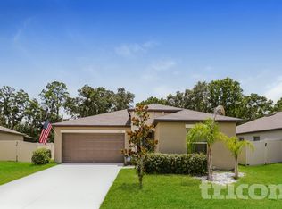4128 Salt Springs Ln, Lakeland, FL 33811