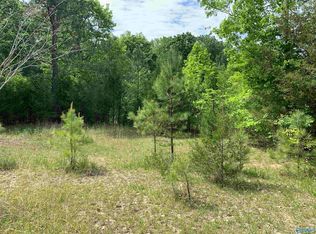 131 Doughboy Rd, Rainbow City, AL 35906