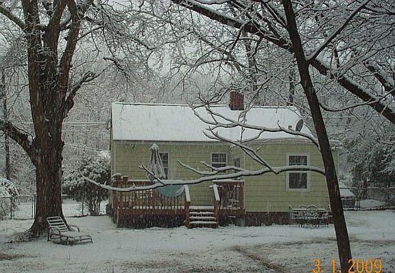 Deep yard in pecan orchard
