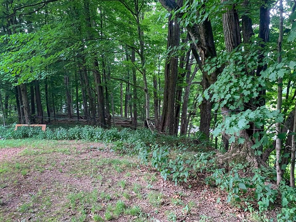2nd image of 0 Chestnut Plain Rd