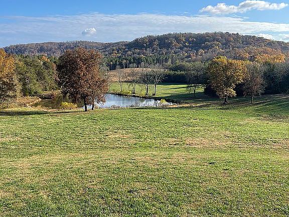 Pond, view from back deck