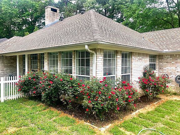 Roses blooming 