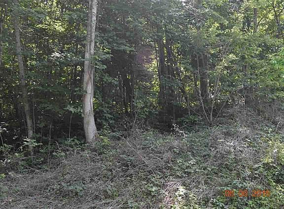 2nd image of Laurel Lake Cir