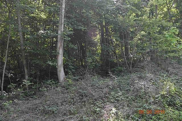 1st image of 784 Laurel Lake Cir