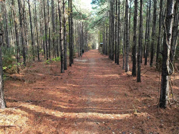 350 Williamson Way, Lovelady, TX 75851