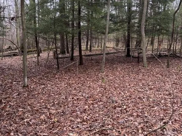 0 Fisher Rd, Sigel, PA 15860