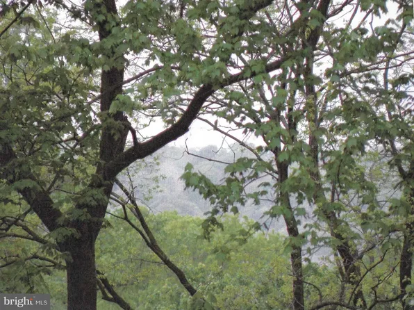 1101 Finley Ln, Alexandria, VA 22304