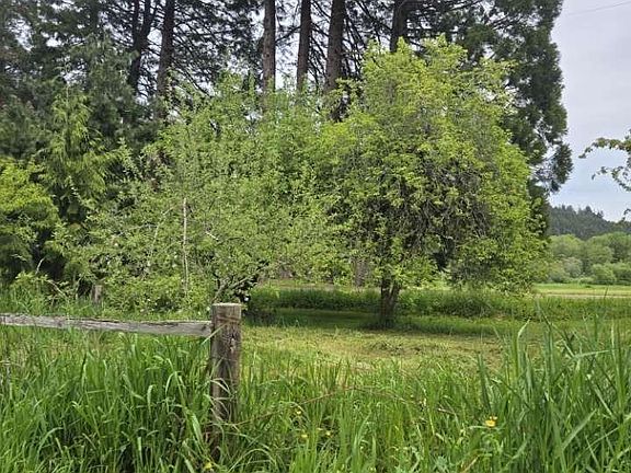 2nd image of 10195 Sweet Creek Rd
