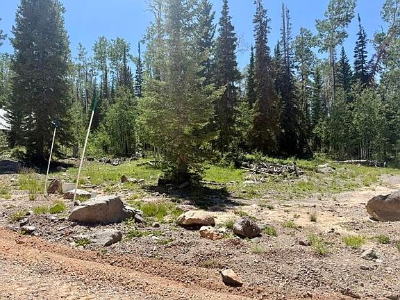 5th image of 263 Hidden Lake Rd Lot 5