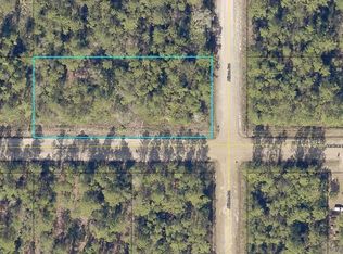 10735 Allison Ave, Hastings, FL 32145