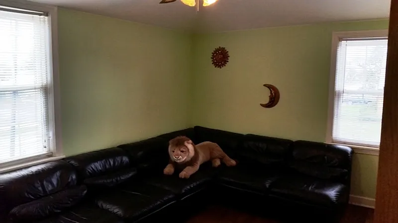 Thumbnail 7