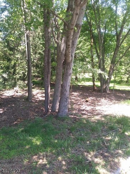 2nd image of 5 Stonehedge Ct