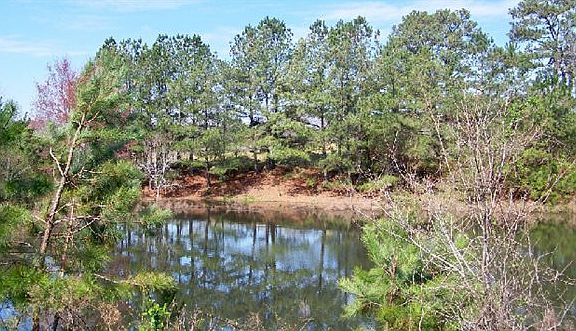 4th image of 2085 County Highway 47