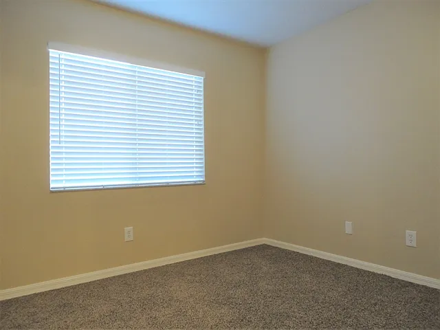 12024 Cedarfield Dr — Photo 12