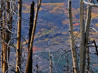 75 Sheep Horn Ct, Bellvue, CO 80512