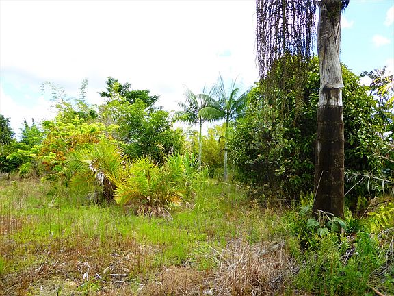 3rd image of 16-608 Orchid Land Dr Lot 87