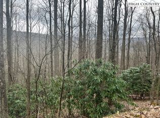 82 Buckeye Creek Rd, Banner Elk, NC 28604