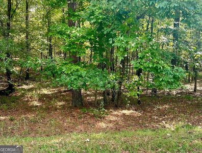 113 Tanner Trce, Buckhead, GA, 30625