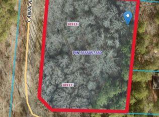 10917 Candilara Ln, Midland, NC 28107