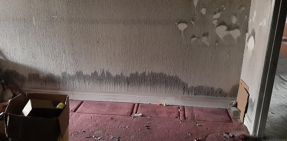 1st image of 8738 Plains Dr