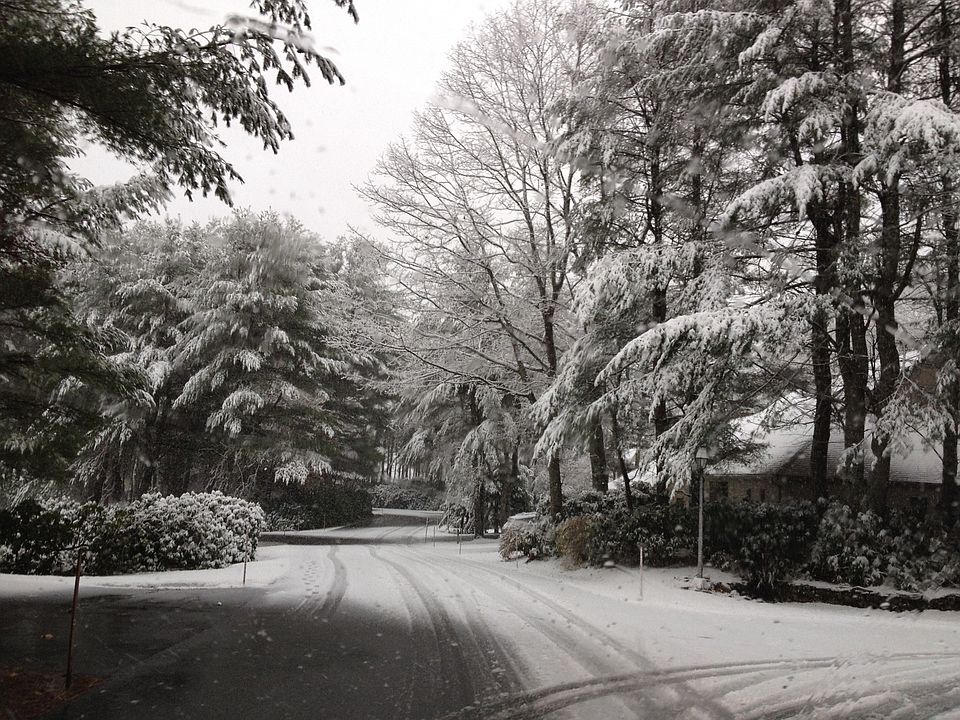 2nd image of 45 Wildwood Dr