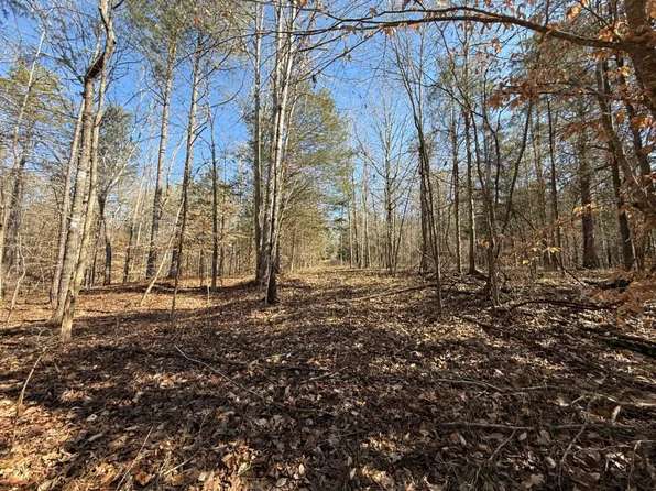 0 Old Whitmire Rd, Carlisle, SC 29031