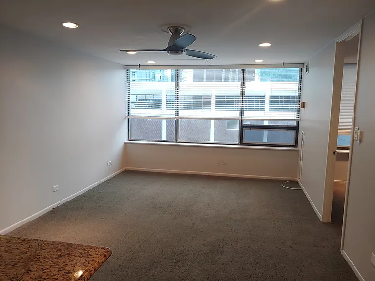 233 E Erie St #2409 — Photo 7
