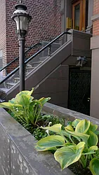 Rented by Town Residential