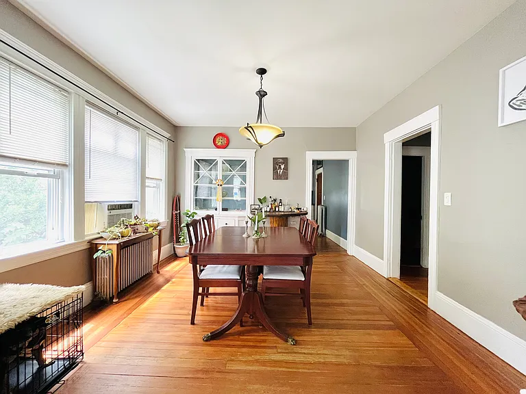 162-164 Anthony St #1 — Photo 3